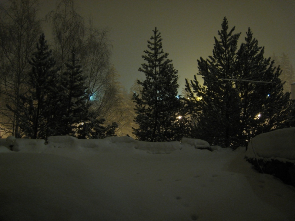 17421-23febbraio2008-003.jpg
