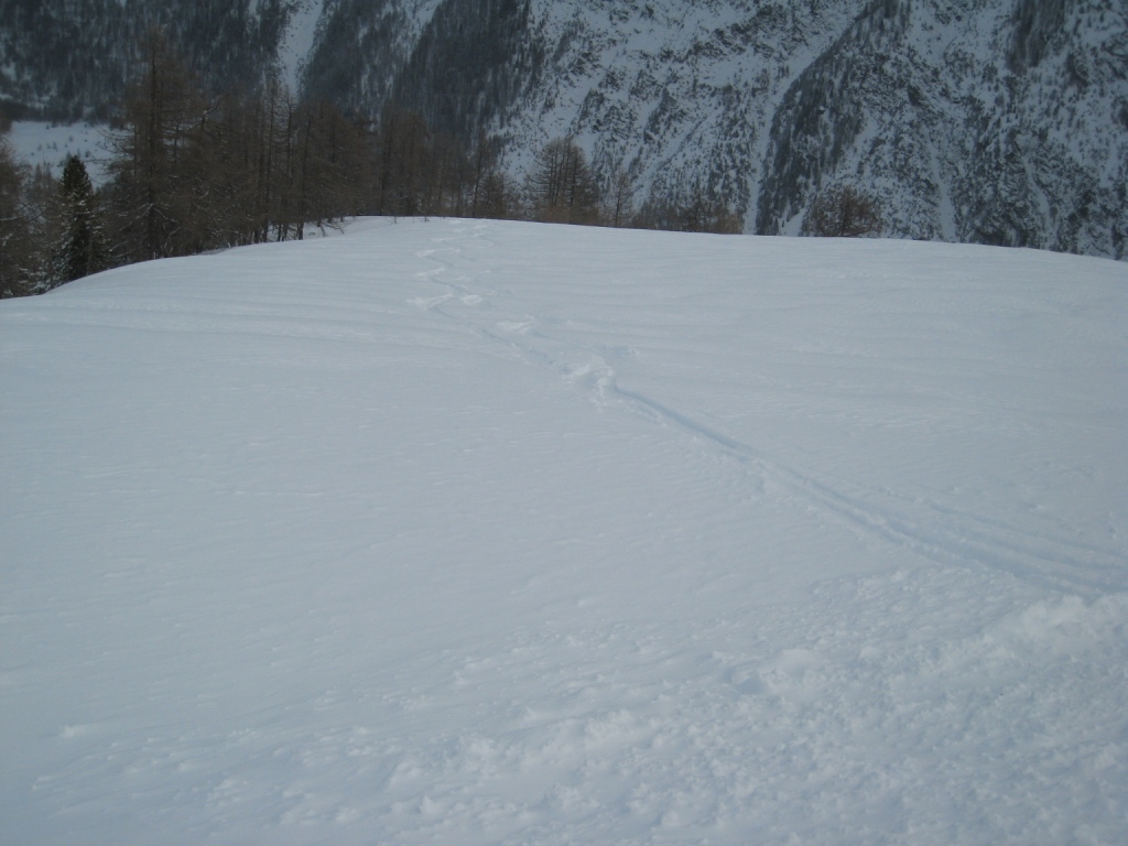 17422-23febbraio2008-005.jpg