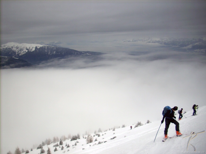 17548-foto-scialpinismo-monte-guslon.jpg