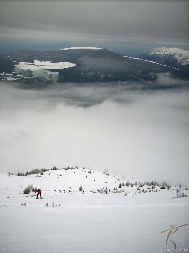 17549-neve-alpago-scialpinismo.jpg