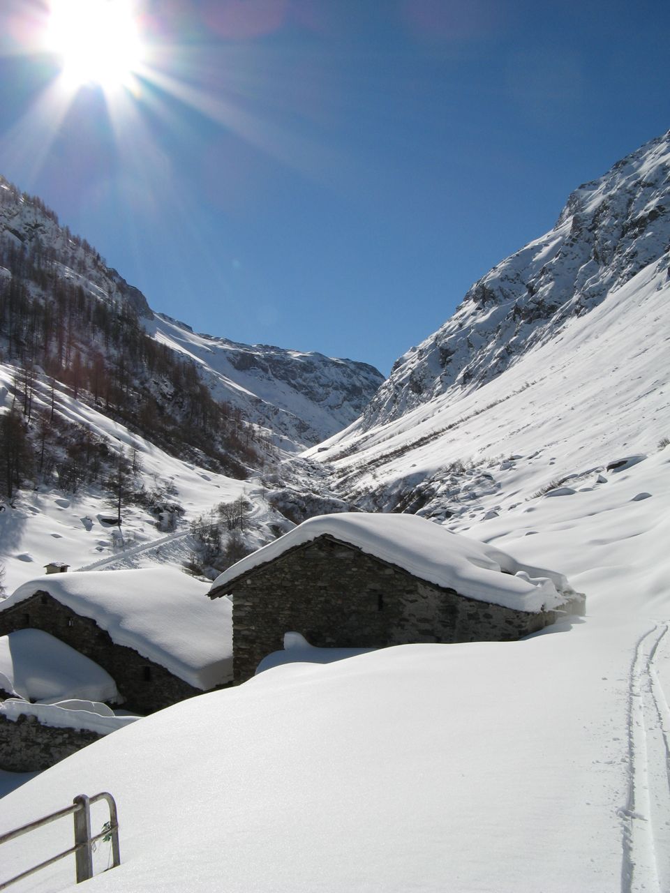 17685-img0906.jpg