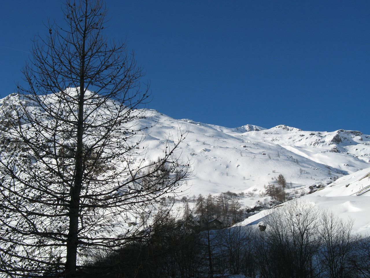17686-img0874.jpg