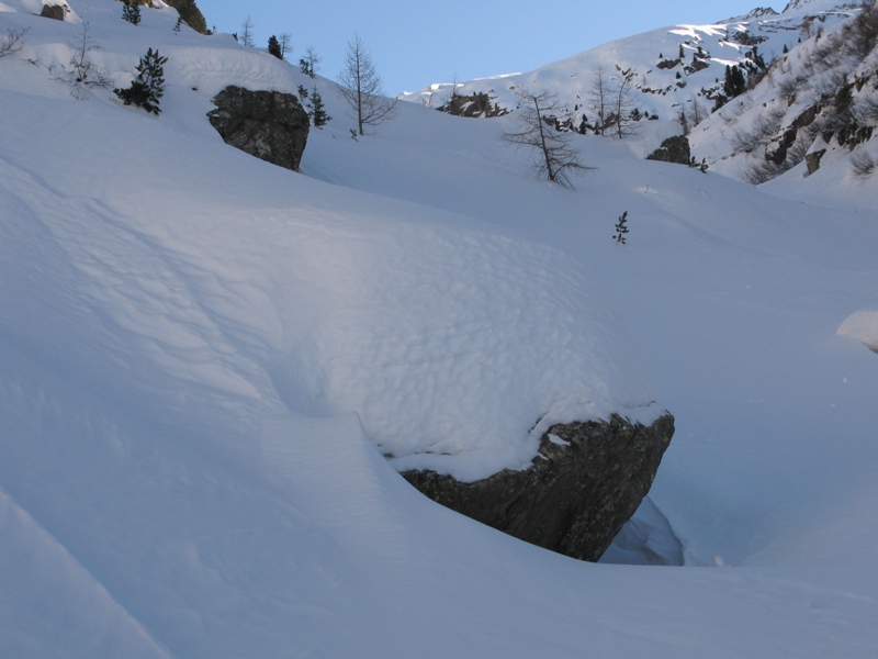 17976-img1396.jpg
