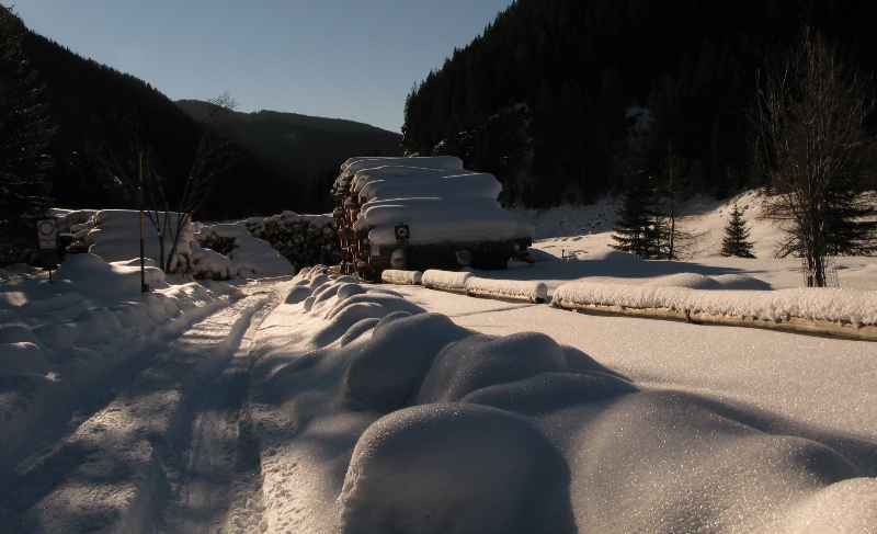 17980-img1454.jpg