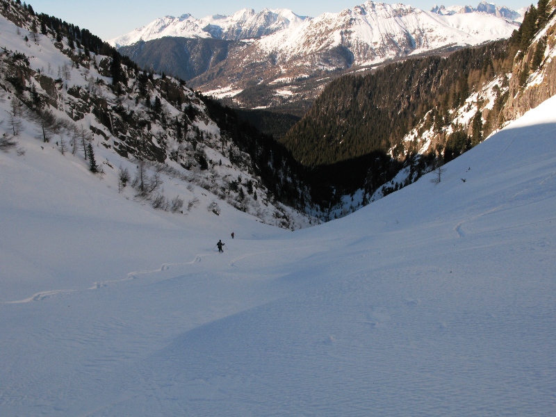 17981-img1433.jpg