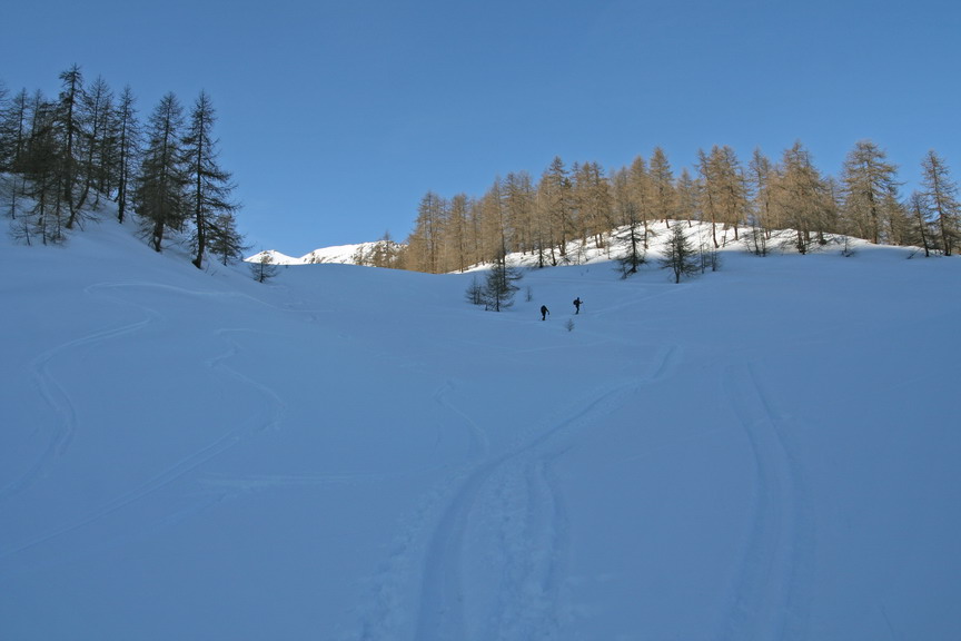 18311-colcitrin20080210030res.jpg
