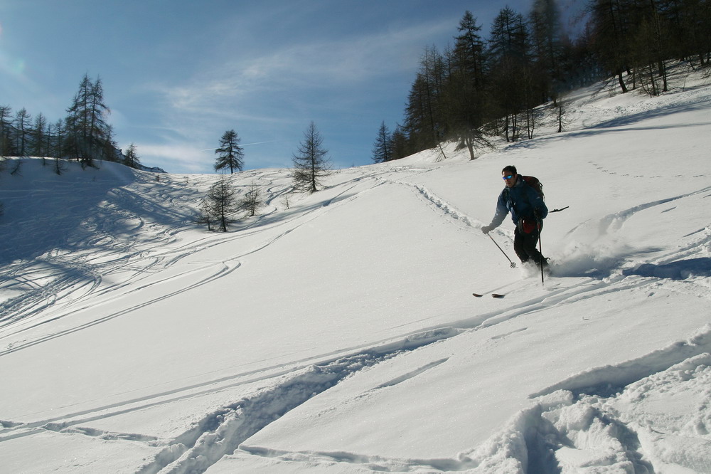 18320-colcitrin20080210185adjresize.jpg