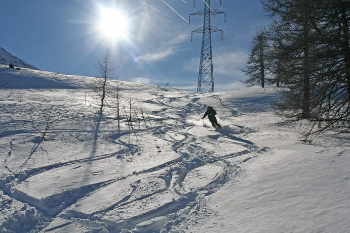 18324-colcitrin20080210115adjres.jpg
