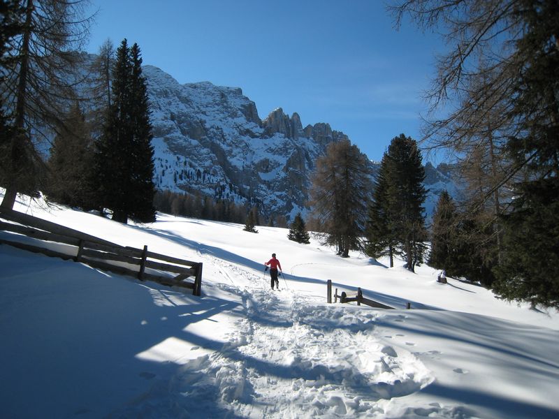 18336-9-10-febbraio-2008-tremolada-029-800x600.jpg