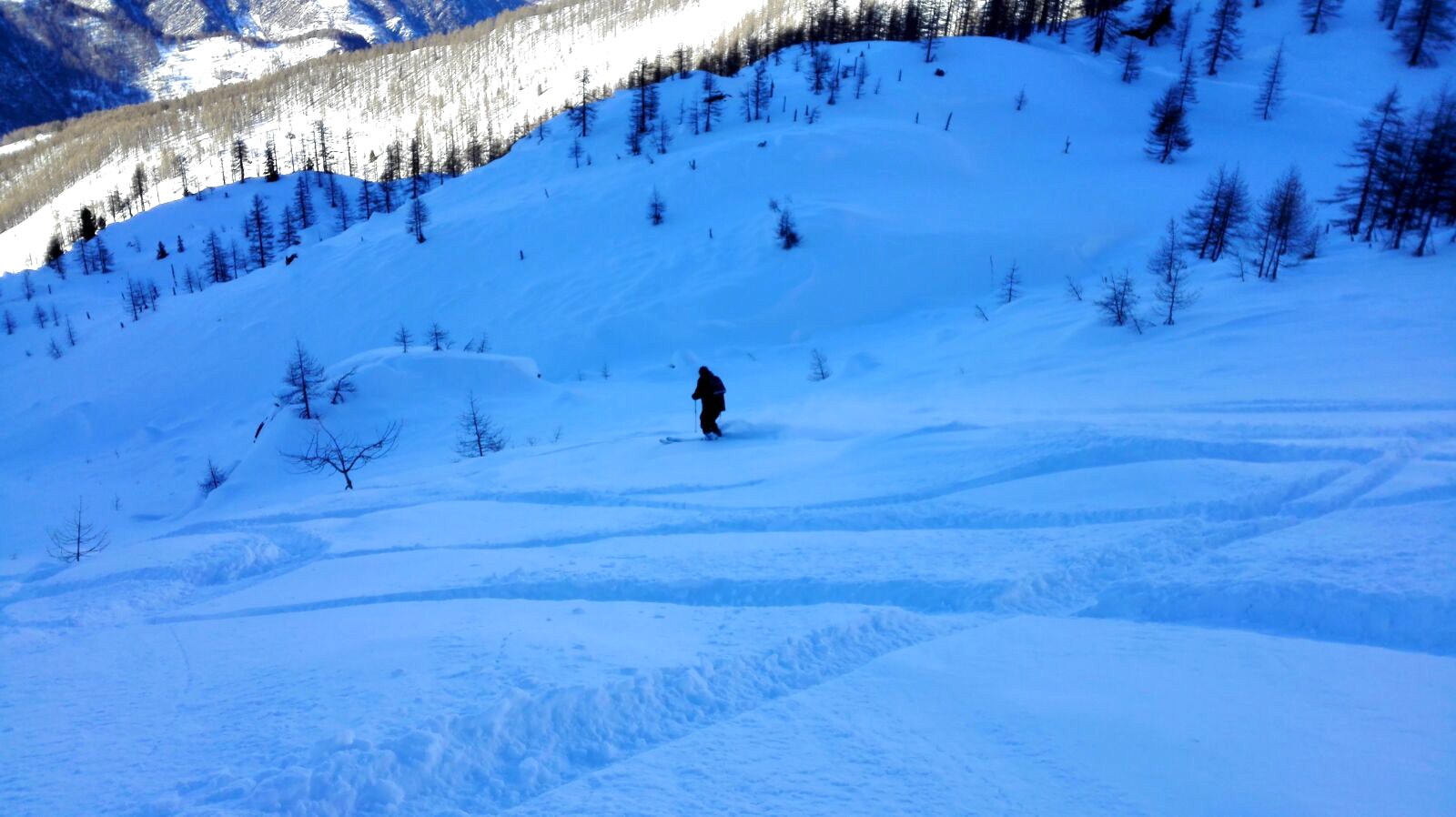 187173-img-20170206-wa0017.jpg