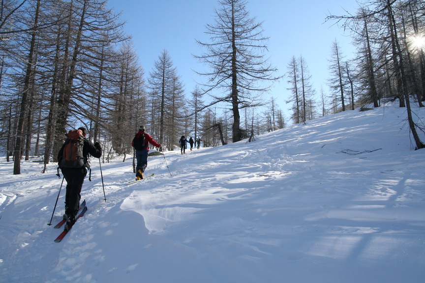 18792-bocchetta-di-nel20080217bosco.jpg