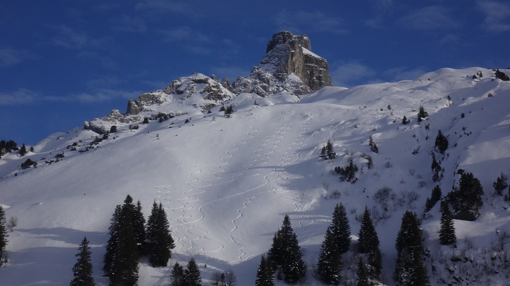189143-blumberg-255-copia-2.jpg