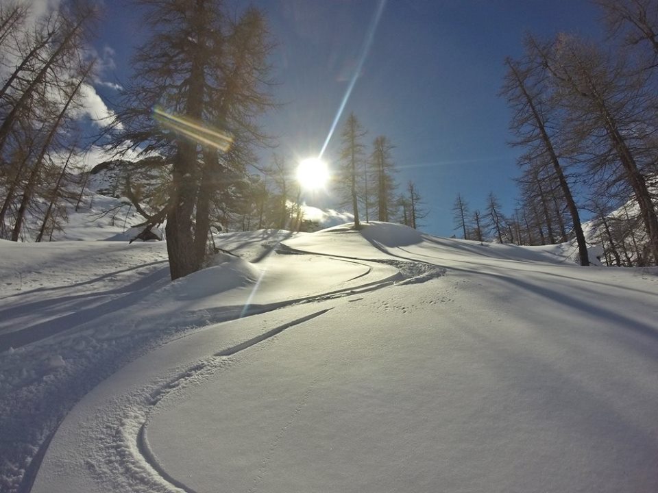 189883-16730636102123030266777519124828909718010259n.jpg