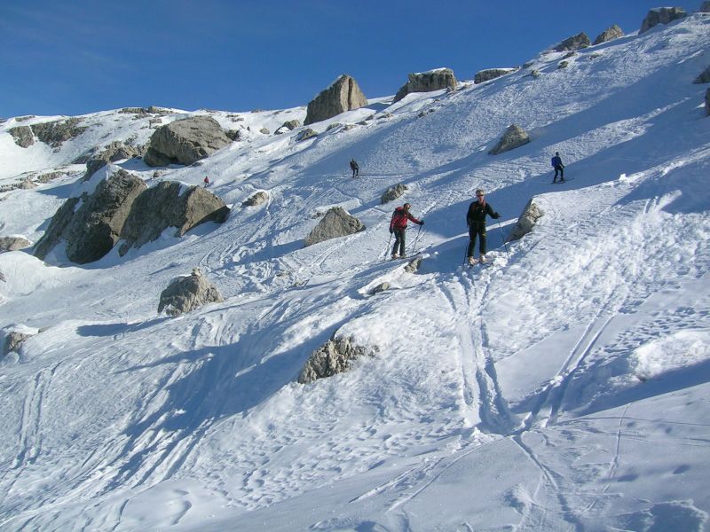 19028-brenta-1.jpg