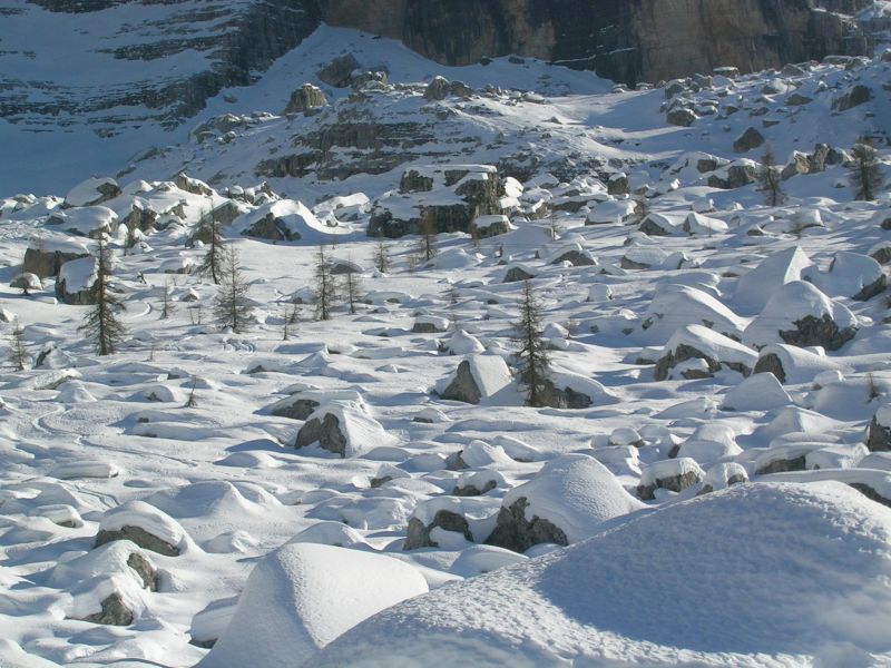 19049-brenta-21.jpg