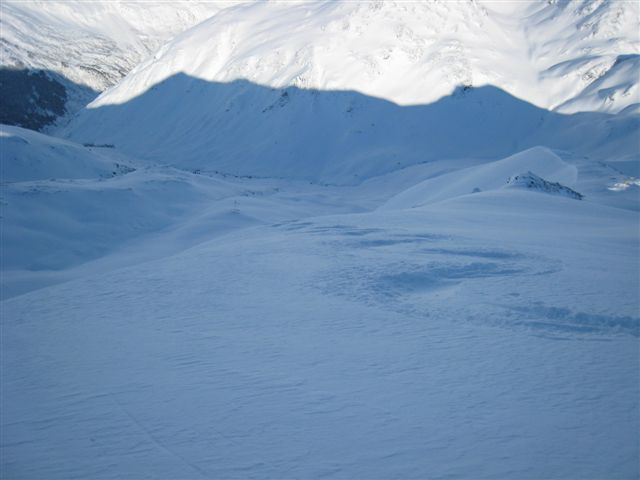 19248-img1984.jpg