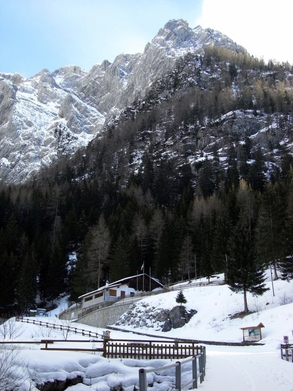 20434-marinelli-007.jpg