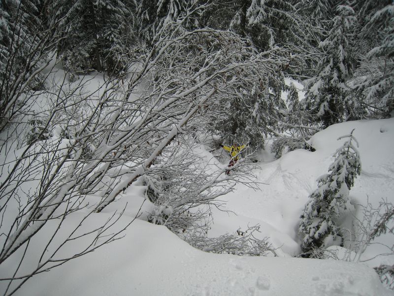 20467-avoriaz-marzo-08-100-800x600.jpg