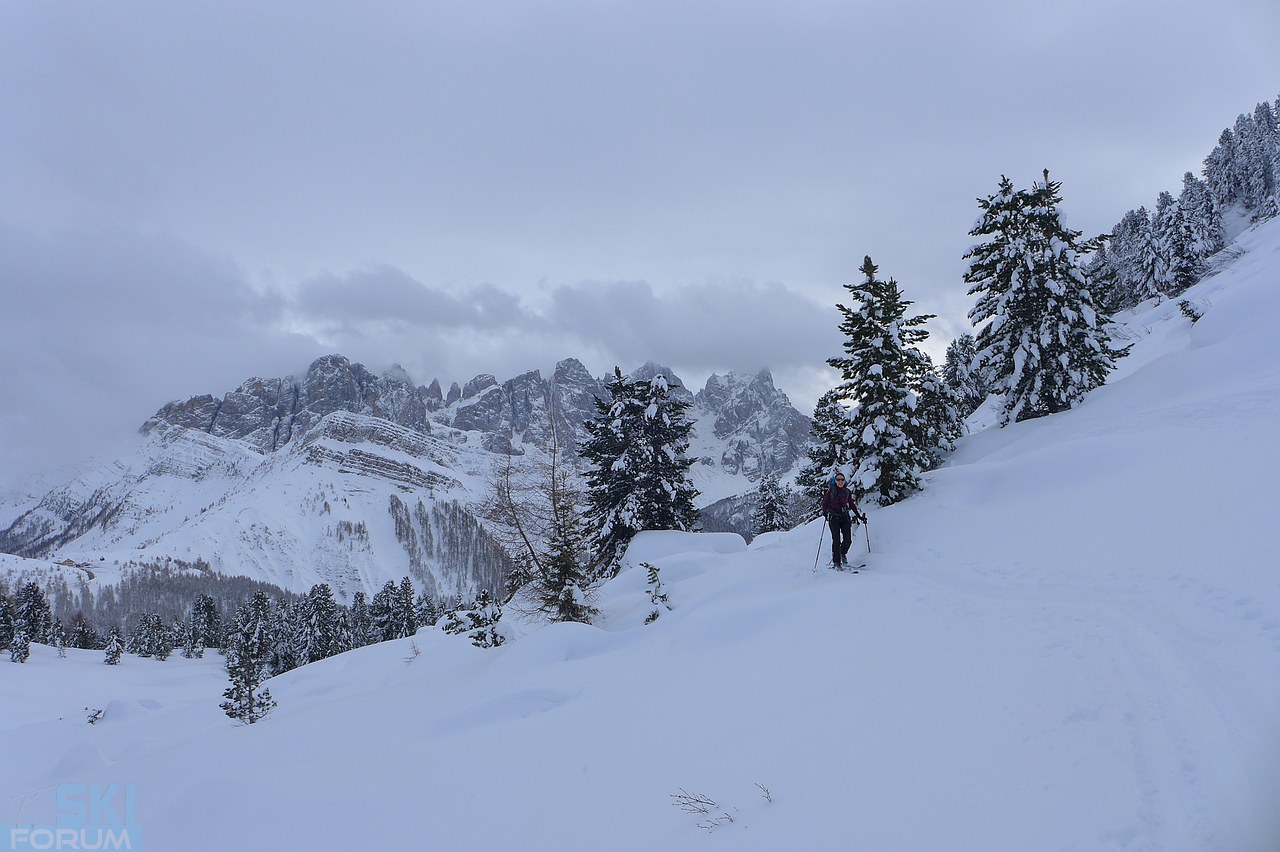 205136-panorama-pale.jpg