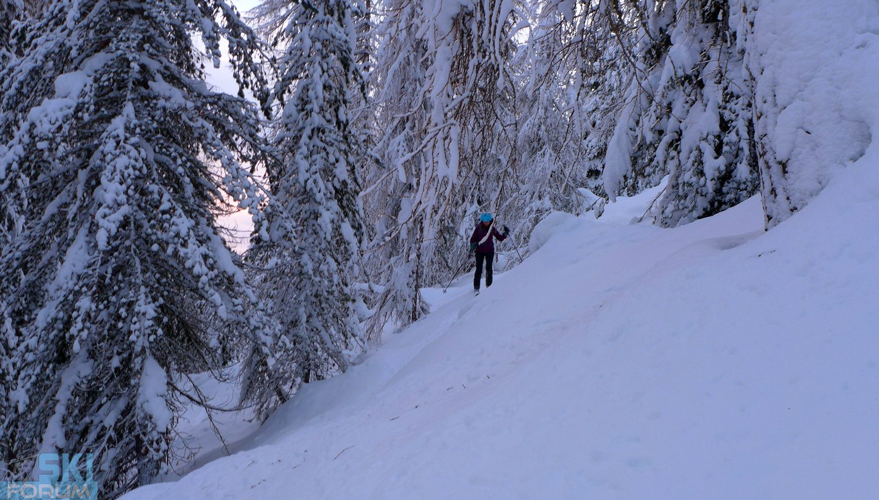 205178-bosco-finale.jpg