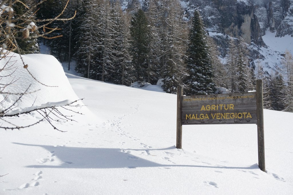 207391-dsc028671024x683.jpg