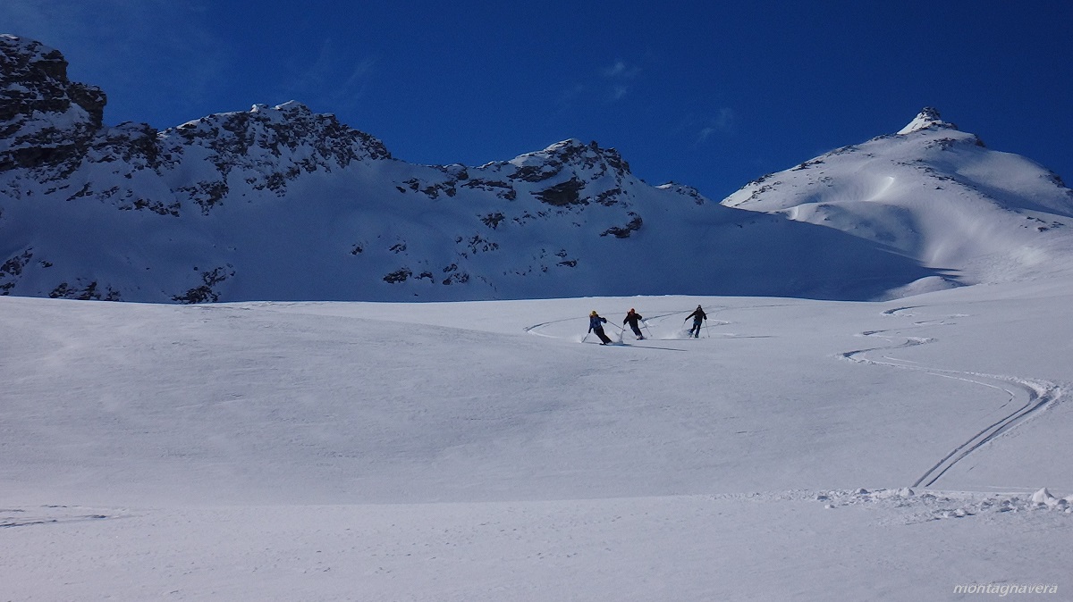 208947-dsc06369-copia-copia.jpg