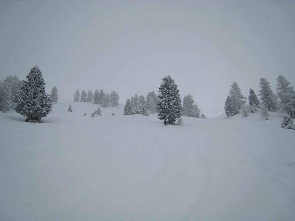 21456-img2592-1024x768.jpg