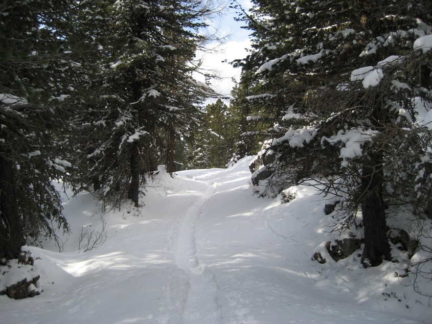 21584-img2923.jpg