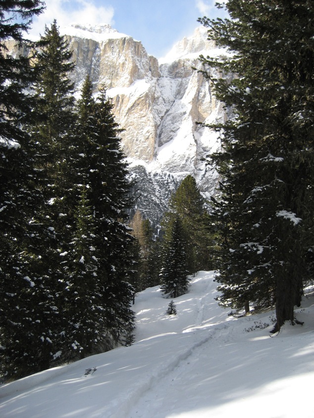21585-img2924.jpg