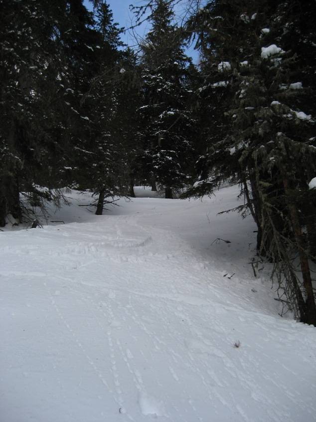 21586-img2925.jpg