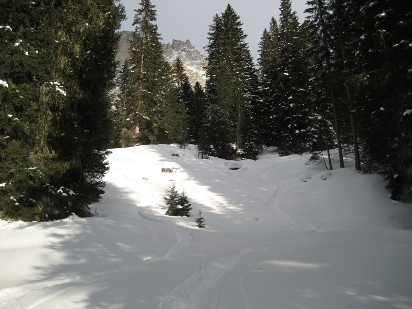 21587-img2931.jpg