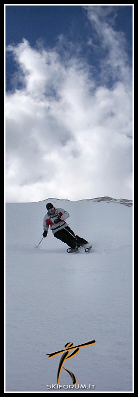22460-skiforum-vince-freeride.jpg