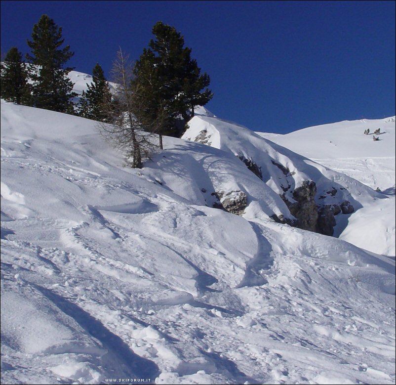 23-free-cliff-faloria-07.jpg