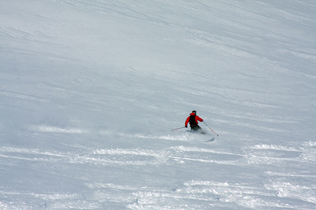 23026-img2330.jpg