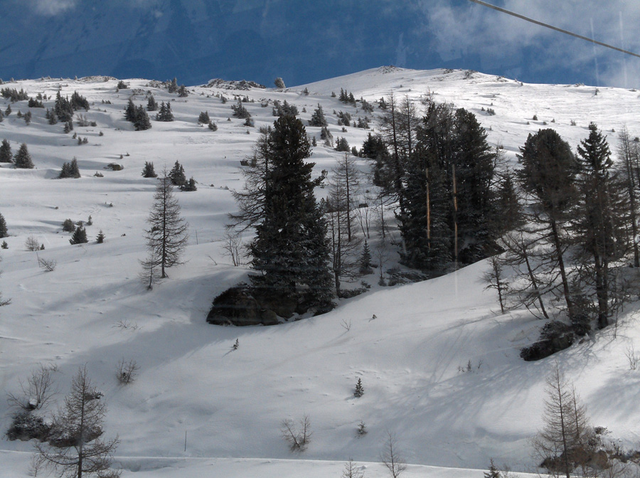 23340-hpim0814.jpg