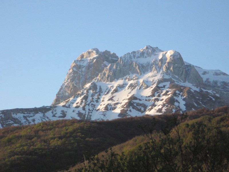 23387-corno-da-est.jpg