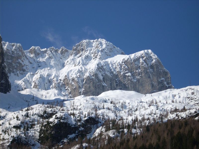 23395-6.jpg