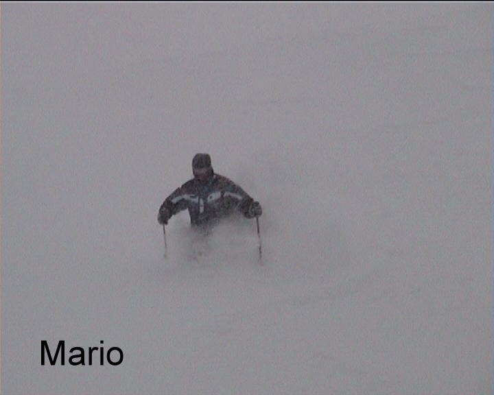 23486-mario7.jpg