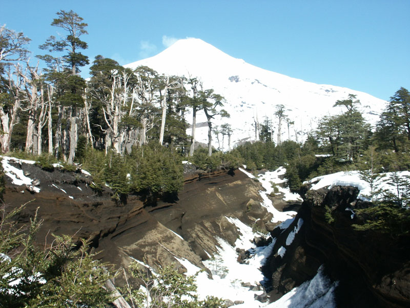 24337-25.jpg