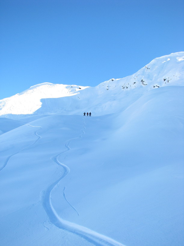 29022-o.jpg
