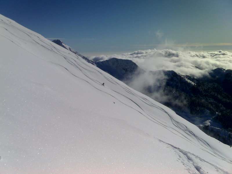 30312-06-12-081236.jpg