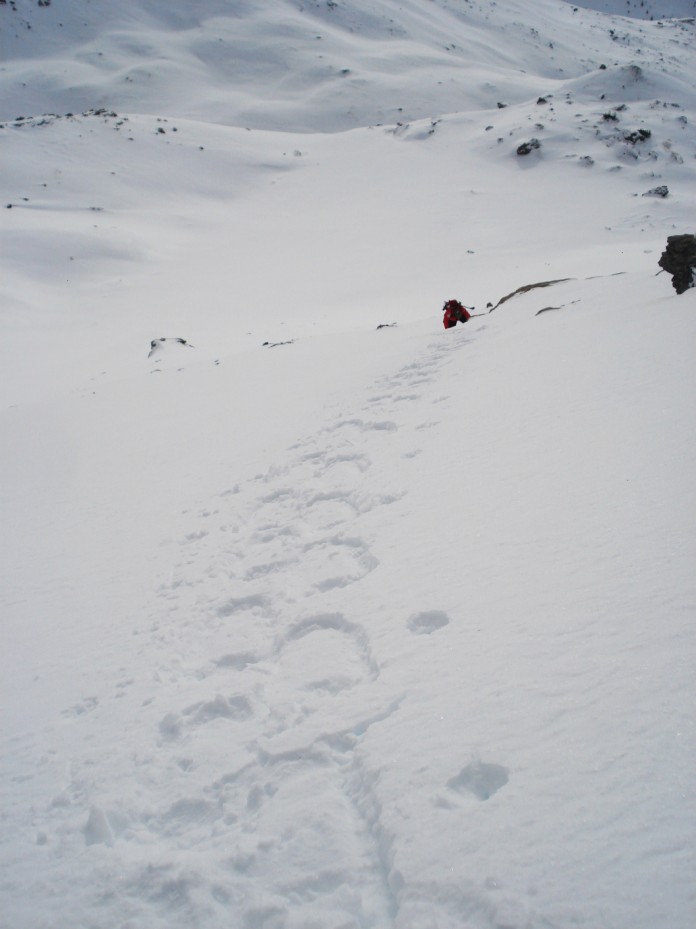 30629-dsc04344-696-x-929.jpg