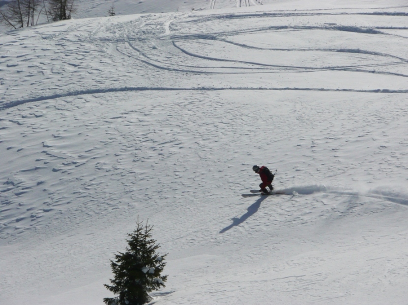 30895-ste.jpg