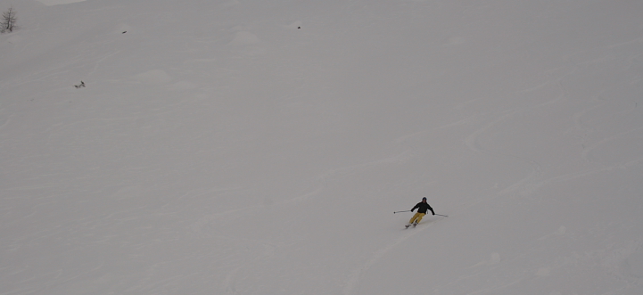 30915-freeride20081220150.jpg