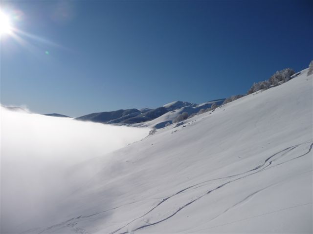 31772-p1000328.jpg