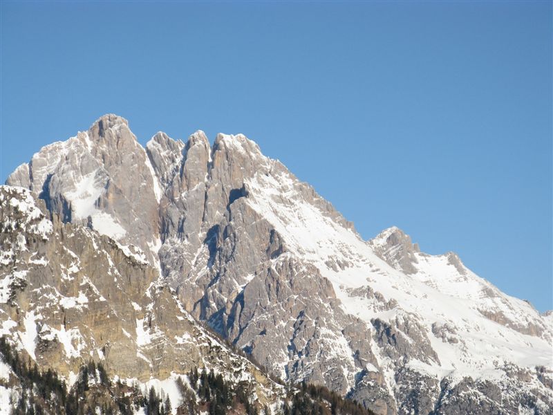 32481-img1767.jpg