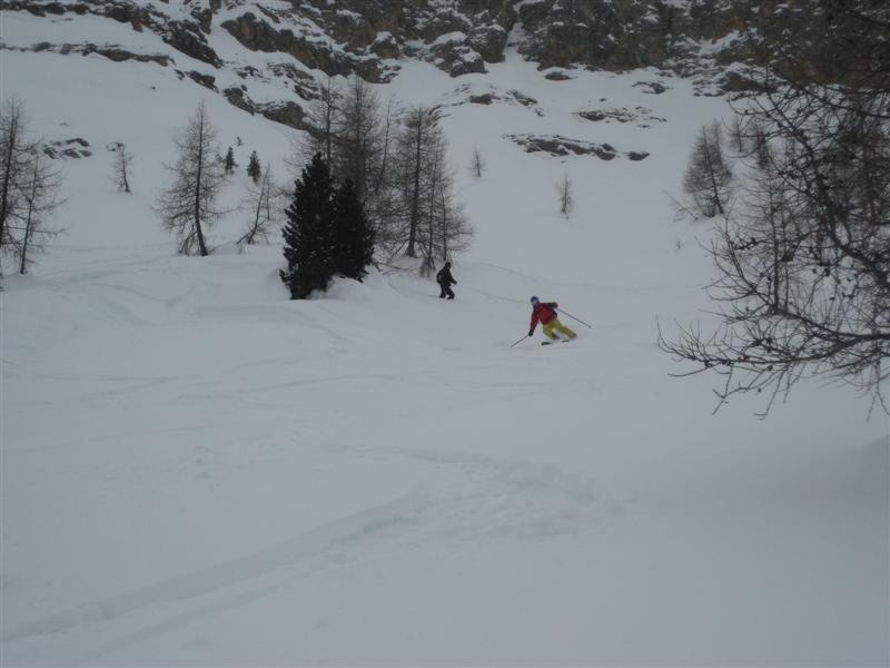 32762-img7661-medium.jpg