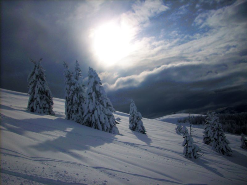 34135-problemi-al-pora-7.jpg
