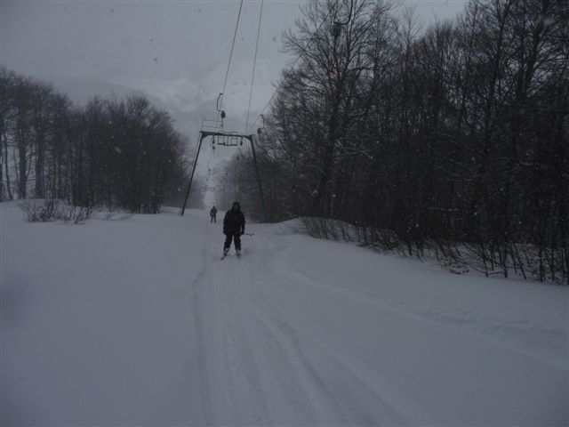 34514-p1000851.jpg