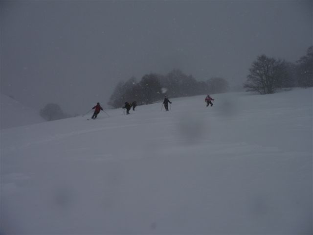 34515-p1000885.jpg